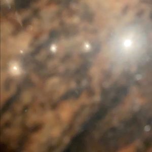 Meet your Posher, Shervin